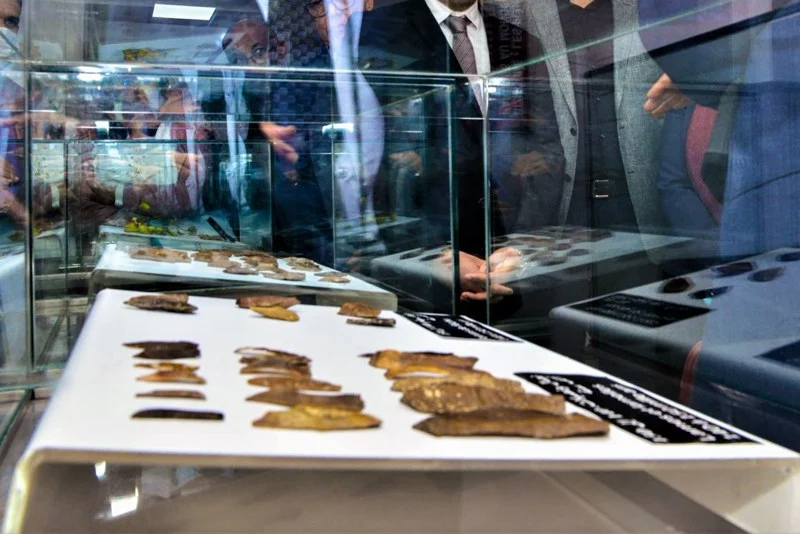 chile:-morocco-recovers-400-mln-year-old-rare-fossils
