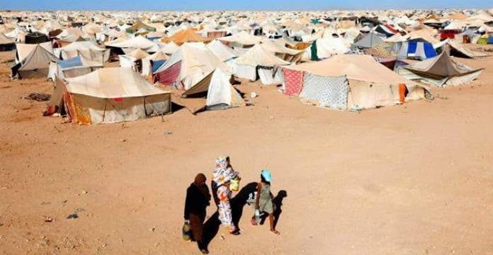 campamentos-argelinos-de-tinduf:-asesinato-y-protesta-video-infomarruecos