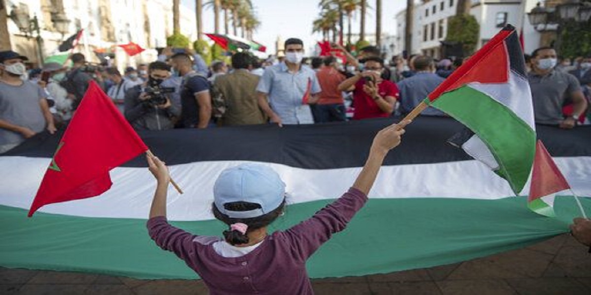solidarite-avec-gaza-:-appel-a-manifestation-ce-dimanche-dans-toutes-les-villes-du-maroc