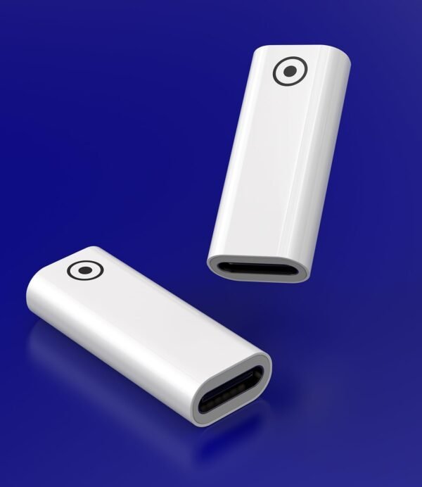 Adaptateur USB C Femelle vers Lightning Femelle (Lot De 2) pour Apple Pencil 1ère Génération pour IPad Chargeur Stylet Câble De Recharge Pen pour IPad 10eme – Image 7