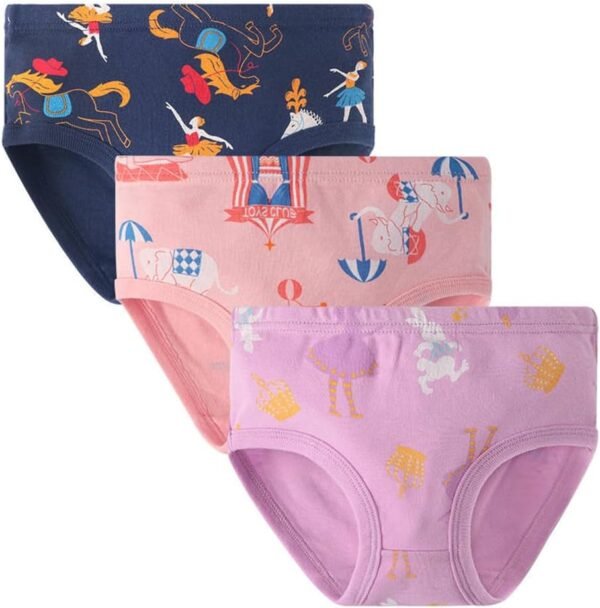 JackLoveBriefs Coton Culotte Fille 9&12 Pièces，âgés de 2 à 9 Ans – Image 2