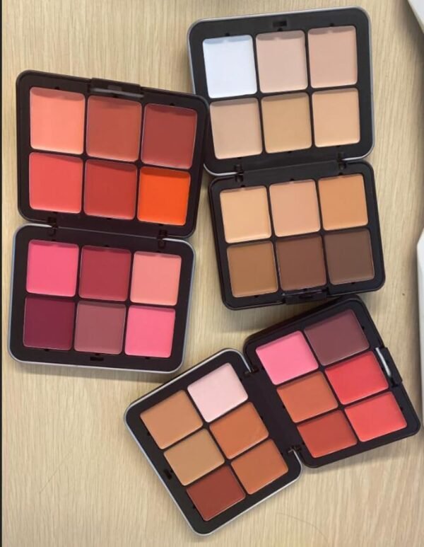 Palette anti-cernes Carla Secret, Maquillage Carla Secret 12 couleurs, Palette de correcteur de crème imperméable longue durée, Crème correctrice correctrice de couleur (Blush A + Concealer A) – Image 6