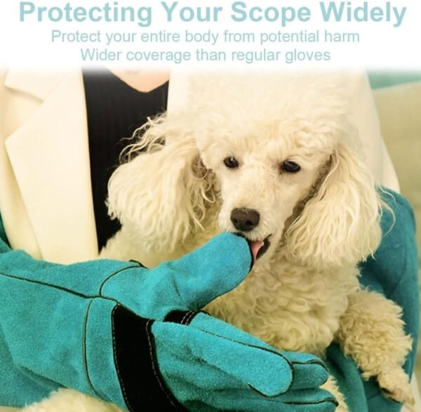 EORPAVU Gants et rouleaux de toilettage chien,Gants d'épilation, gants de protection anti-déchirure et anti-morsure en cuir de vache, peuvent apprendre aux animaux à se nourrir (45 cm) – Image 6