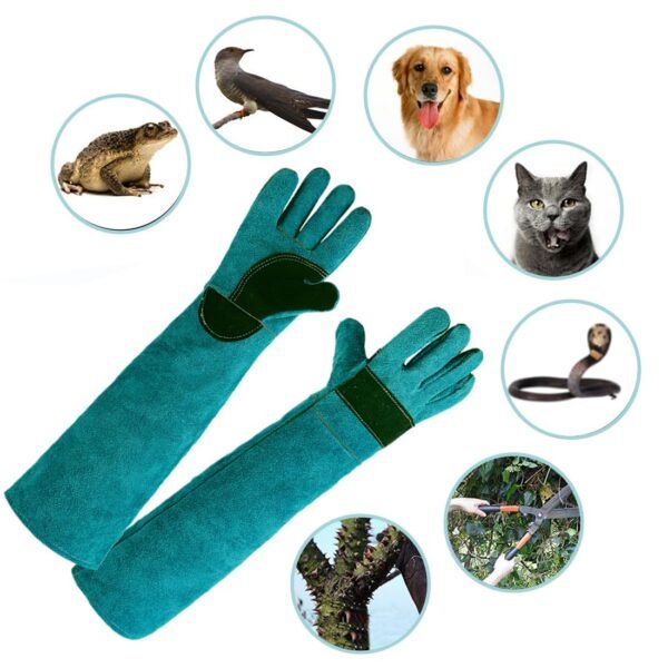 KGDUYC Gants et Rouleaux de toilettage Chien,Les Gants en Cuir de Vache Anti-déchirure et Anti-Morsure Peuvent entraîner Les Animaux à se Nourrir et des Gants de Protection Anti-Morsure (45 cm) – Image 6