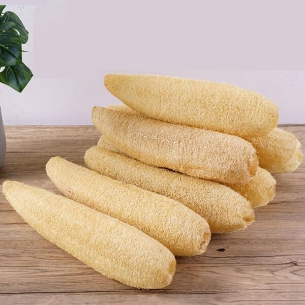 Éponge Luffa | Éponges De Bain De Douche,Accessoire De Bain Unisexe pour Hygiène Personnelle Voyage et Maison – Image 8
