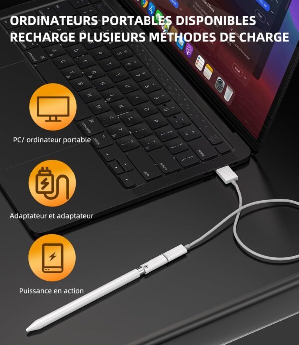Adaptateur USB C Femelle vers Lightning Femelle (Lot De 2) pour Apple Pencil 1ère Génération pour IPad Chargeur Stylet Câble De Recharge Pen pour IPad 10eme – Image 3