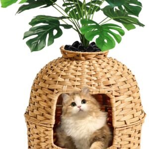 SETVSON Litière pour chat - En rotin tissé à la main - Avec bac à litière pour chat et plantes artificielles - Filtre de contrôle des odeurs - Véritables pierres - Pour salon, chambre à coucher, coin