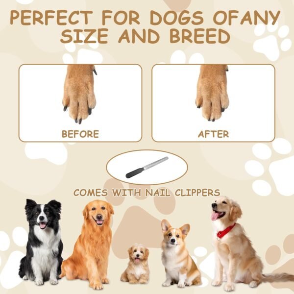Planche à gratter pour chien, avec boîte à friandises 35 x 25 x 3 cm de rechange pour ponceuse à griffes pour chien – Image 3