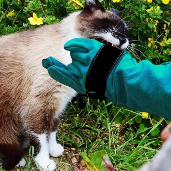 EORPAVU Gants et rouleaux de toilettage chien,Gants d'épilation, gants de protection anti-déchirure et anti-morsure en cuir de vache, peuvent apprendre aux animaux à se nourrir (45 cm) – Image 4