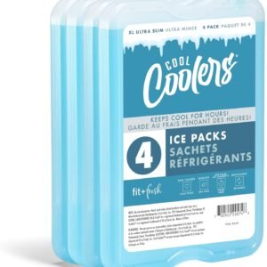 Fit & Fresh Lot de 4 blocs réfrigérants pour congélateur, Bleu, Taille XL