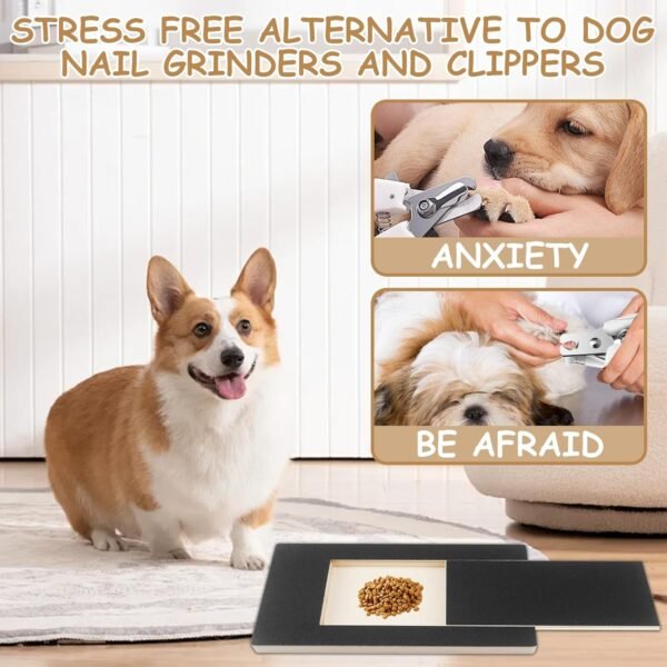 Planche à gratter pour chien, avec boîte à friandises 35 x 25 x 3 cm de rechange pour ponceuse à griffes pour chien – Image 4
