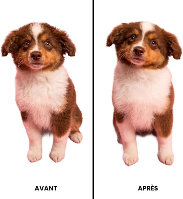 Tangle Teezer Pet Teezer, Brosse de Toilettage Douce pour Chiot, Idéale pour Les Chiots et Les Chiens à la Peau Sensible et au Poil Délicat, Menthe – Image 6