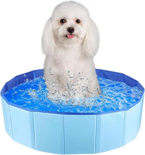 Piscine pliable pour chien - Piscine pliable pour petits chiens et chats - Piscine pour chiens et chats - Piscine en PVC - Pataugeoire pour animaux de compagnie