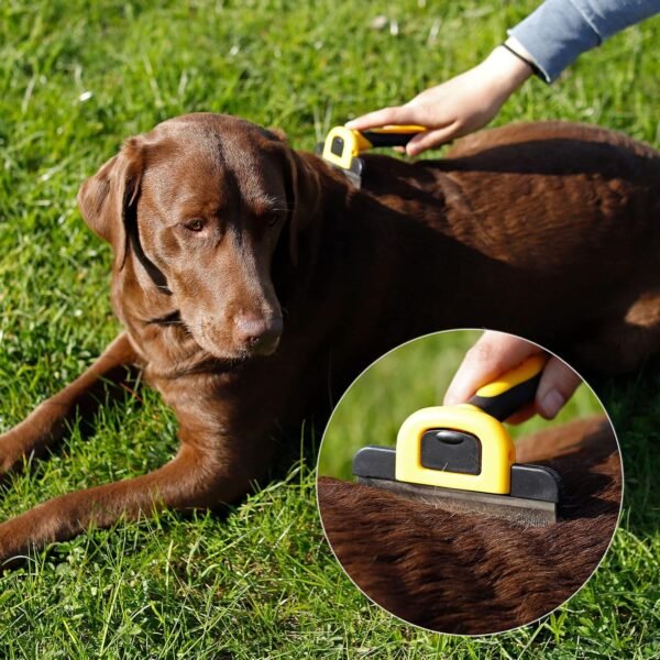 lionto Brosse sous-poil large inoxydable pour chiens et chats, lame amovible, dents arrondies pour un soin du pelage doux, poignée antidérapante ergonomique, pour poils longs et courts – Image 3