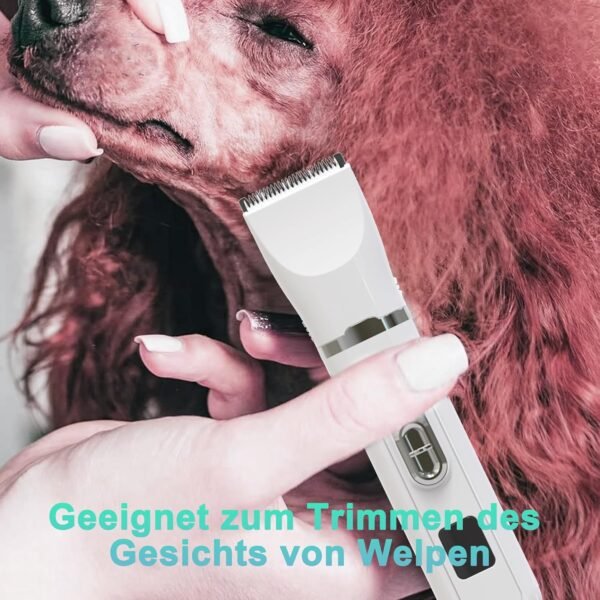 Tondeuse professionnelle silencieuse pour chiens et chats : tondeuse électrique 4 en 1 pour chien avec écran LED pour le corps, les pattes, les yeux, les oreilles et le visage. – Image 6