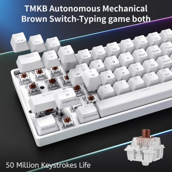 Dierya Clavier Gamer Mécanique 60% Câblé avec Interrupteur Marron,DK61se Clavier Gaming Rétroéclairage Bleu Glacier,Type-c Mechanical Keyboard Compact 61 Touches Anti-ghosting-US Layout,Blanc – Image 3