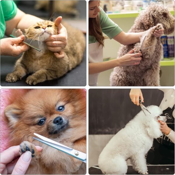 Ensemble de Ciseaux de Toilettage pour Chien, 6 Pouces Professionnel Kit de Tondeuse pour Animaux, Ciseaux Amincissants, Droits et Incurvés pour Chiens, Chats, Salon et Bricolage avec Peigne – Image 7