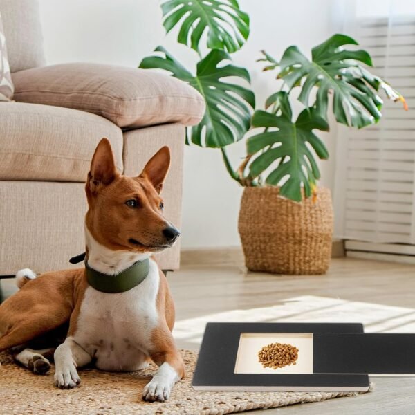 Planche à gratter pour chien, avec boîte à friandises 35 x 25 x 3 cm de rechange pour ponceuse à griffes pour chien – Image 6