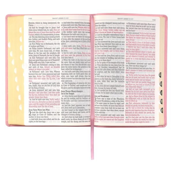 KJV Bible Giant Print Full Size Pink – Image 9
