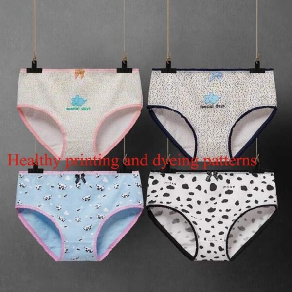 Kidear Série Enfants Culotte Culotte Culotte Enfant 12 Pièces sous-vêtements en Coton Doux pour Tout-Petit, âgés de 2 à 10 Ans – Image 4
