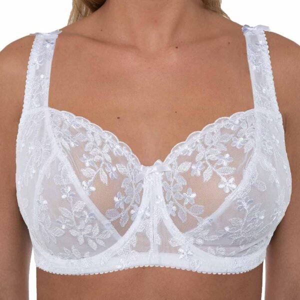 Gemm Soutien-gorge pour femme Grande taille Noir Rose Turquoise Brodé Grande taille Dentelle Bosom Bonnet ferme – Image 3