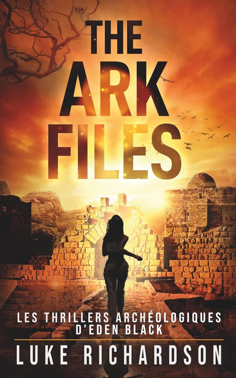 The Ark Files: Un Thriller Archéologique Palpitant (Version Française)