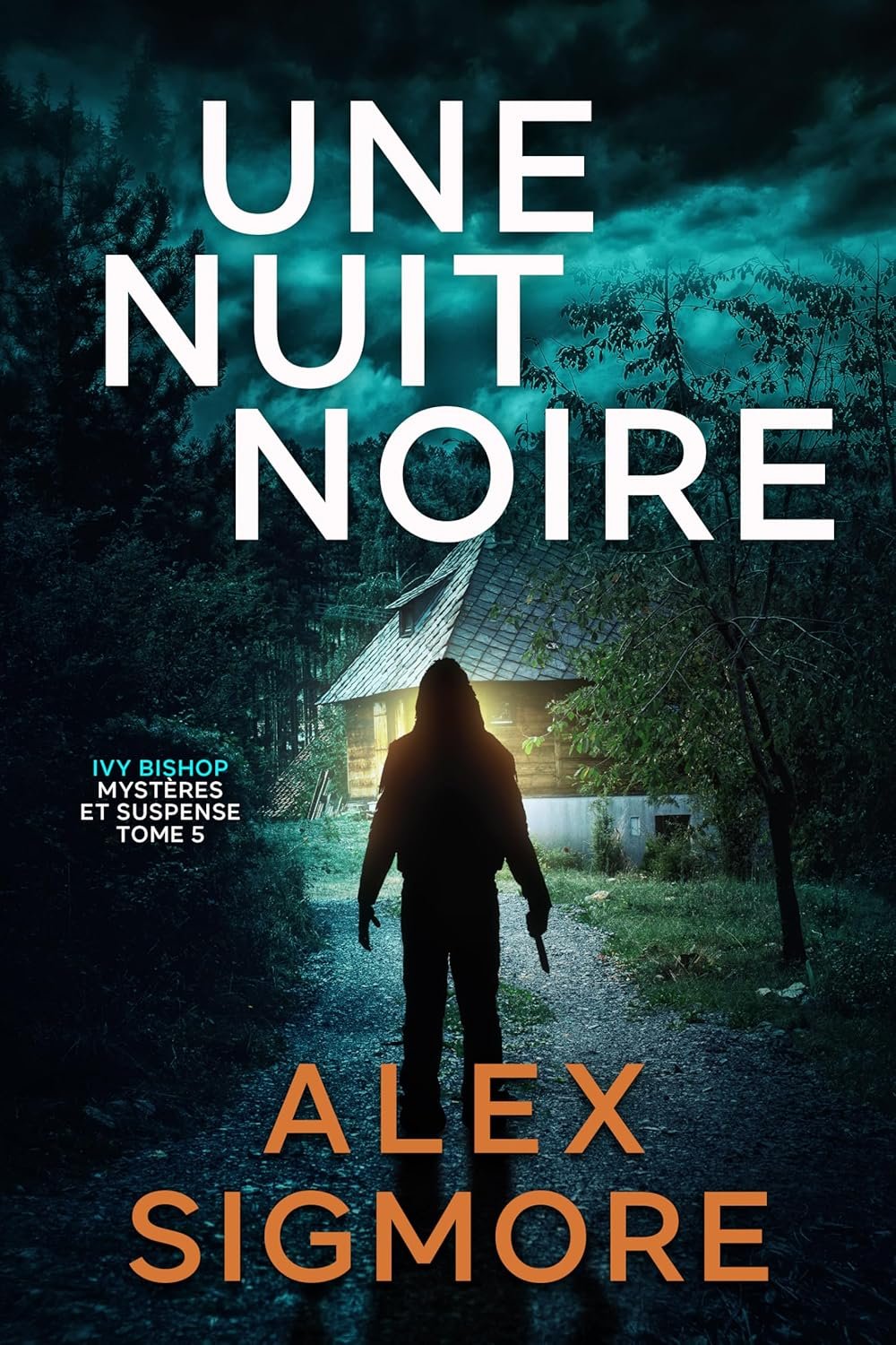Une Nuit Noire (Ivy Bishop: Mystères et Suspense t. 5)
