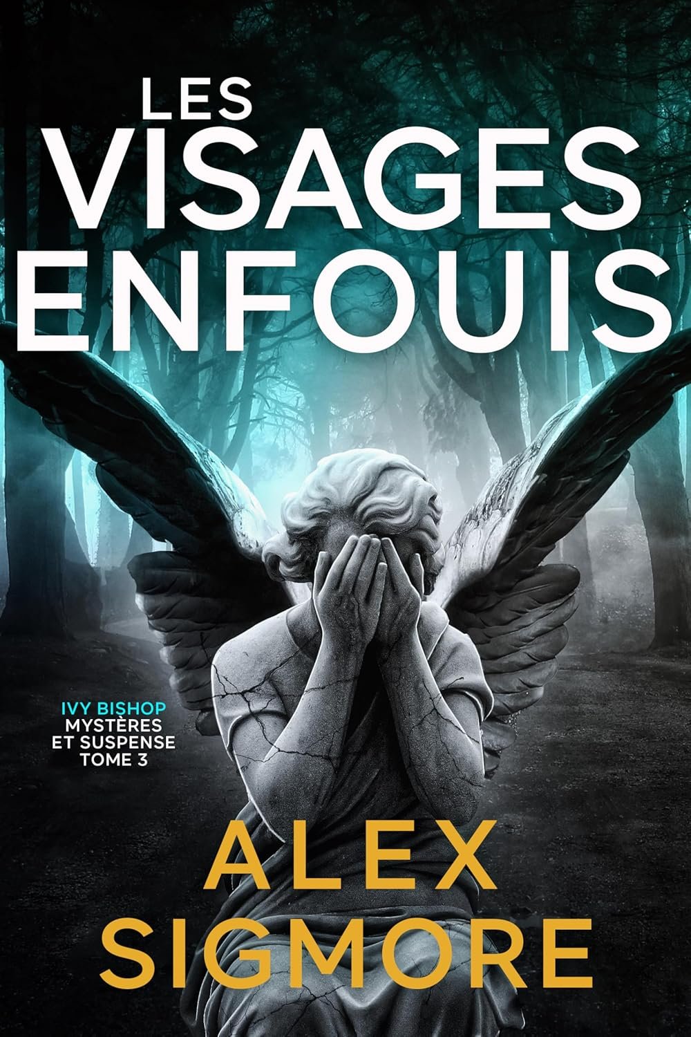 Les Visages Enfouis (Ivy Bishop: Mystères et Suspense t. 3)